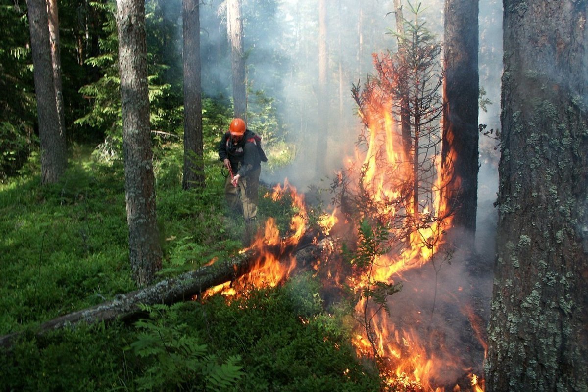 Лесные пожары Ханты-Мансийск