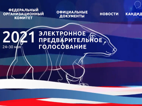 Стартовал праймериз «Единой России»: тест-драйв электронного голосования из Тулы