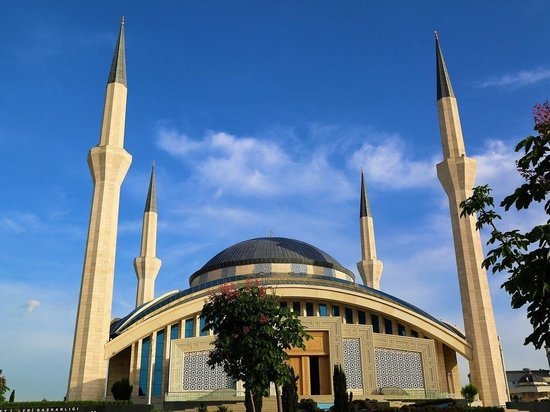 Турция хочет разрешить россиянам перелеты в курортные города