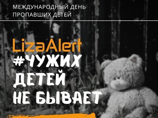 В Тамбове поисково-спасательный отряд «Лиза Алерт» проведёт онлайн-трансляцию по проблеме пропажи детей