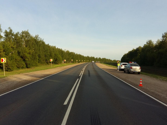 В Тамбовском районе автоледи вылетела в кювет
