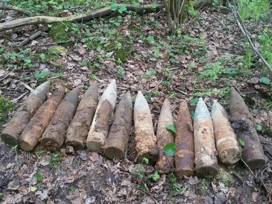 Калужские саперы обезвредили 20 опасных снарядов времен войны