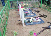Вандалов, поваливших более десятка крестов на Барановском кладбище Воскресенского городского округа, разыскивает местная полиция