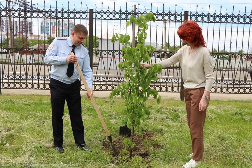 Пересадка участников квартета по научному. Липовая аллея.