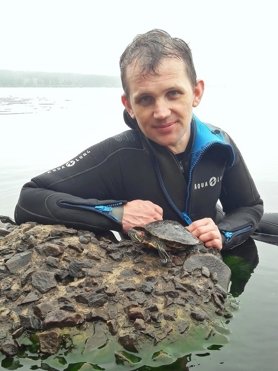 Дайверы выловили черепаху в Онежском озере