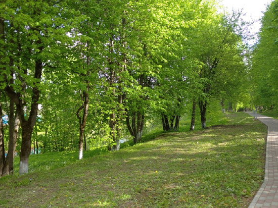 В Тверской области ведётся покос травы