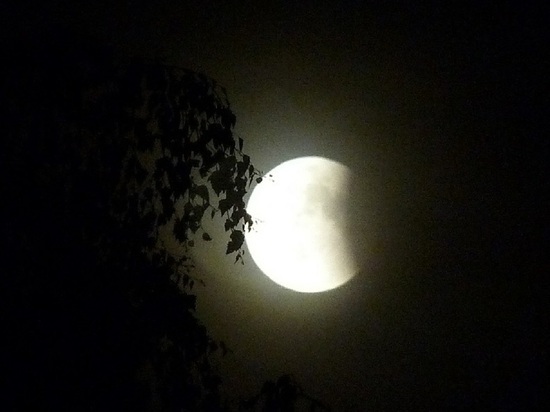 Лунное затмение и кровавая луна 26 мая 2021: когда смотреть в Новосибирске
