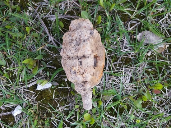 В трех районах Смоленской области саперы обезвредили боеприпасы времен войны