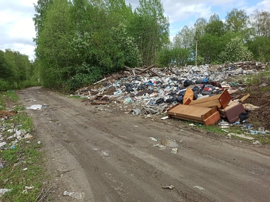 На закрытую свалку в Карелии продолжают вывозить мусор