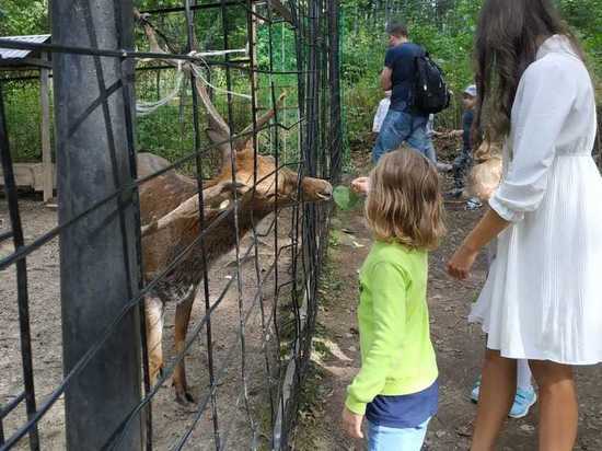 В зоосаде под Хабаровском пройдет «Праздник детства»