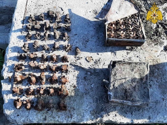 В Козельске у воинской части обнаружен схрон взрывоопасных предметов