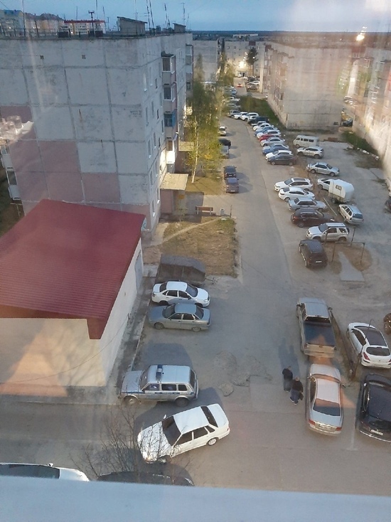 «Трупный» запах в многоэтажке напугал жителей Ноябрьска