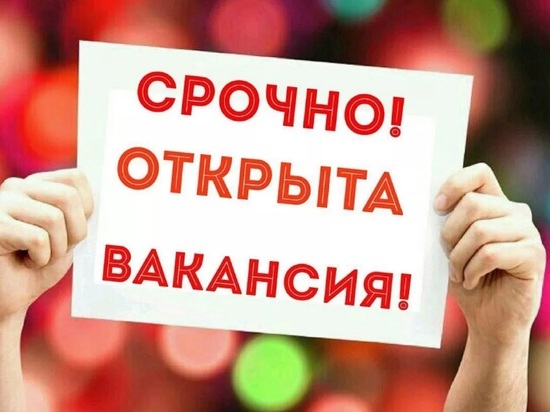 Администратор в музей и учитель – кого ищут компании малого и среднего бизнеса в Ярославле