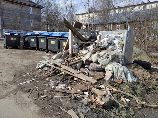 В Петрозаводске нашли поджигателя мусорных контейнеров