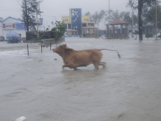 Страна по сей день борется с «коронавирусным цунами» - на фоне разыгравшейся стихии