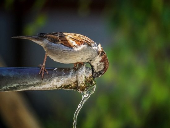 В Донецке с утра 26 мая сокращена подача воды