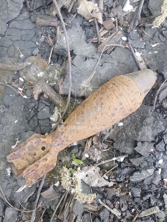 Новокузнечанка во время уборки в гараже нашла снаряд от миномета