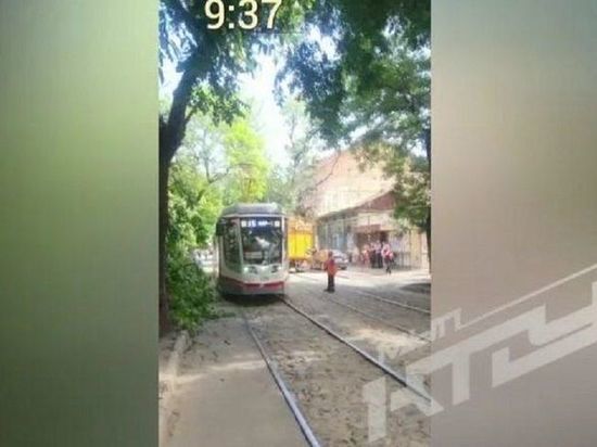 Из-за упавшего дерева в Краснодаре на время остановилось движение трамваев