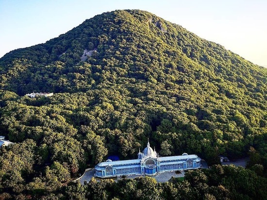 На Кавминводах инвесторов  обяжут компенсировать вырубку деревьев