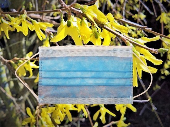 Вспышка коронавируса в ДНР началась после Пасхи - Минздрав