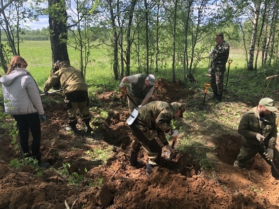 В Тверской области поисковые отряды нашли останки девяти солдат