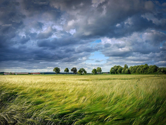 В ЛНР зафиксировали опасный суховей