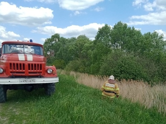Из пруда в Сараевском районе подняли тело мужчины