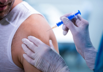 В рамках продолжающейся в российских регионах вакцинации от коронавирусной инфекции в Красноярск поставлена очередная партия вакцины от COVID-19 — порядка 2,5 тысячи доз вакцины «Спутник V» центра Н