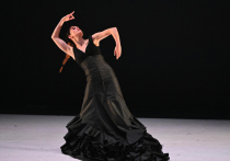 «Танцовщицей сверхъестественной мощи и харизмы» называет знаменитую исполнительницу фламенко Патрисию Герреро испанская пресса