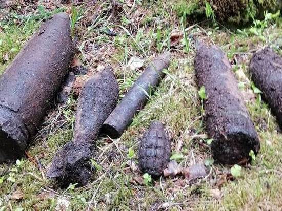 Сапёры Карелии уничтожили 45 взрывоопасных предметов за месяц