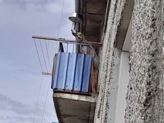 Читинцы в Осетровке спасли с балкона закрытой квартиры собаку