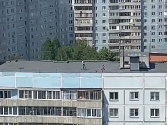 Под Новосибирском начали кататься на электросамокатах по крышам