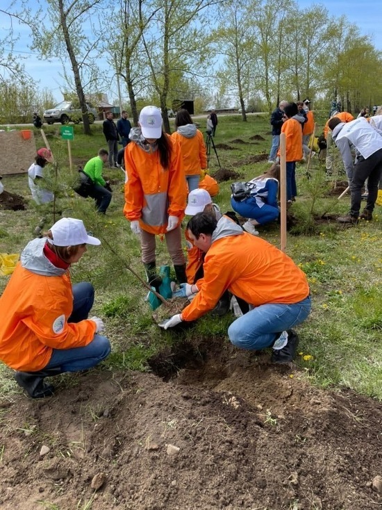 По экоакции En+ Group «Под зеленым крылом» в Иркутске посадили 360 деревьев