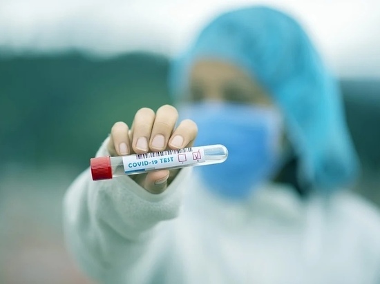 В Псковской области все вспышки коронавируса потеряли статус «активен»