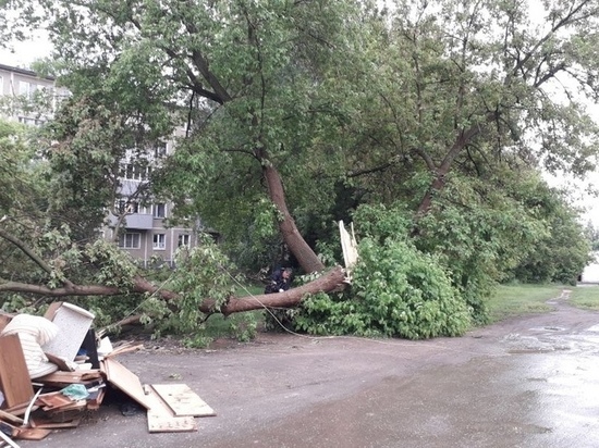 Из-за урагана на Московском шоссе в Рязани упавшее дерево оборвало провода