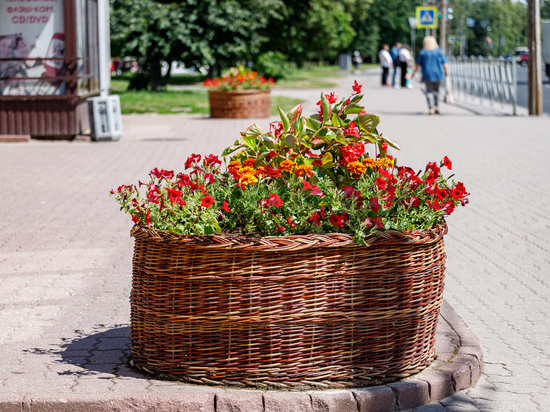 Первый день лета в Псковской области будет теплым