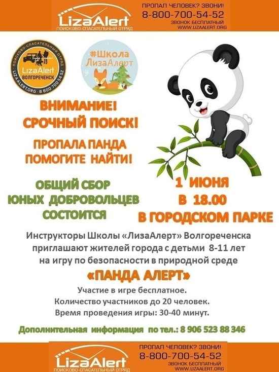 Завтра в костромском Волгореченске будут ловить панду