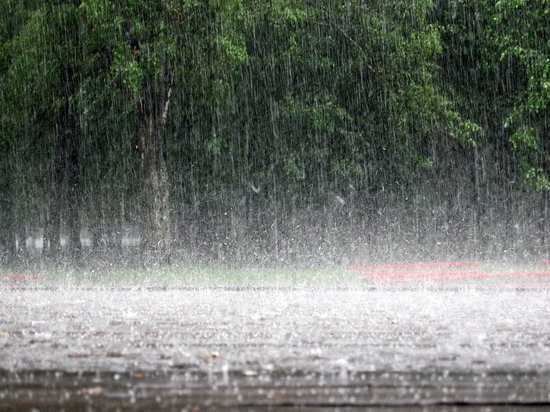 Лето в Ростовской области начнется с проливных дождей