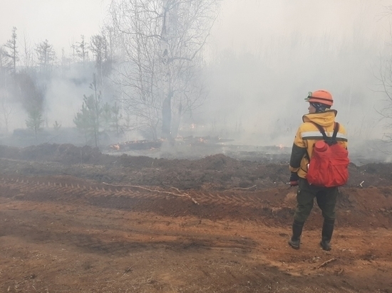 Пятая часть лесных пожаров в Забайкалье происходит из-за браконьеров