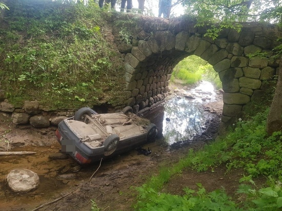 В Тверской области водитель легковушки задом скатился с моста и погиб
