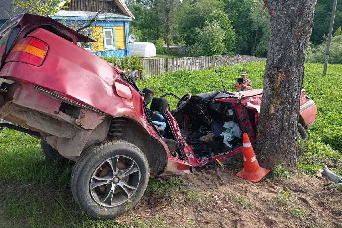 Раздавило машину»: Три человека погибли в ДТП под Куньей - МК Псков