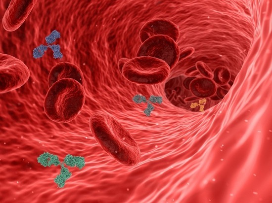 Ученые сравнили образцы крови, взятые до пандемии, с образцами от переболевших COVID-19