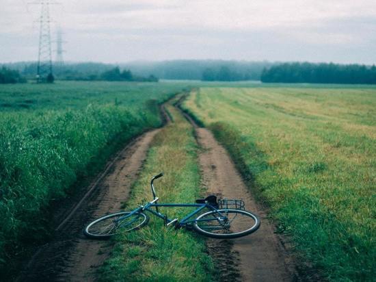 В аварии, где пострадал десятилетний велосипедист, разберутся следователи