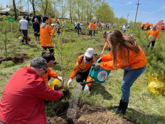 Под зеленым крылом: участники экоакции En+ Group высадили 360 деревьев в Иркутске