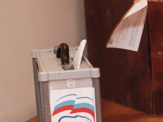 Опубликованы результаты предварительного голосования «Единой России» в Псковской области