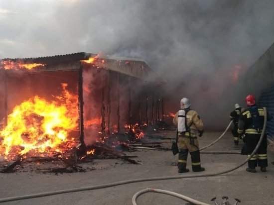 Более 900 пожаров произошло в Дагестане в этом году