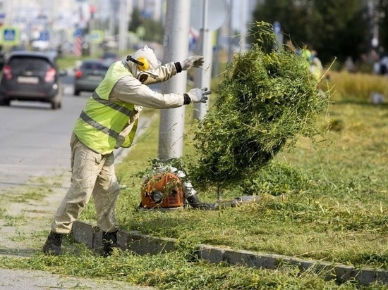 В Сургуте вместо заборов появятся живые изгороди