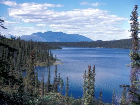 Байден приостановил аренду участков в заповедной Аляске под добычу нефти и газа