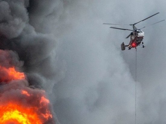 Новосибирская область получила 20,3 млн рублей на мониторинг лесных пожаров с воздуха