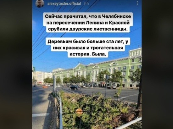 Губернатора Алексея Текслера возмутила вырубка даурских лиственниц в центре Челябинска